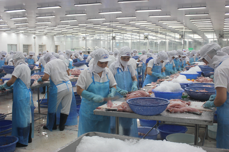Top 10 công ty xuất khẩu thủy sản lớn nhất Việt Nam